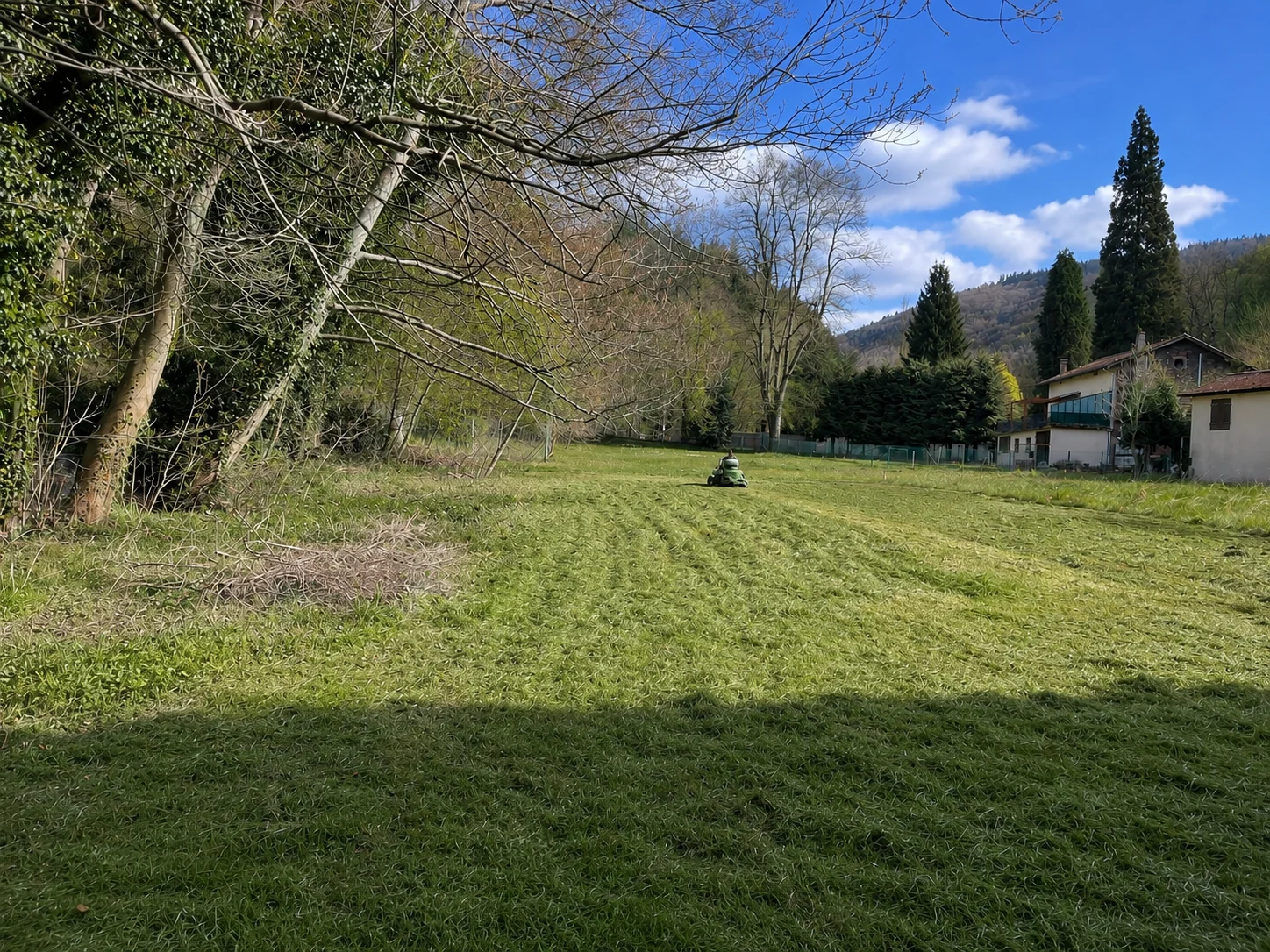 Pelouse entretenue dans un jardin avec arbres et maison en arrière-plan
