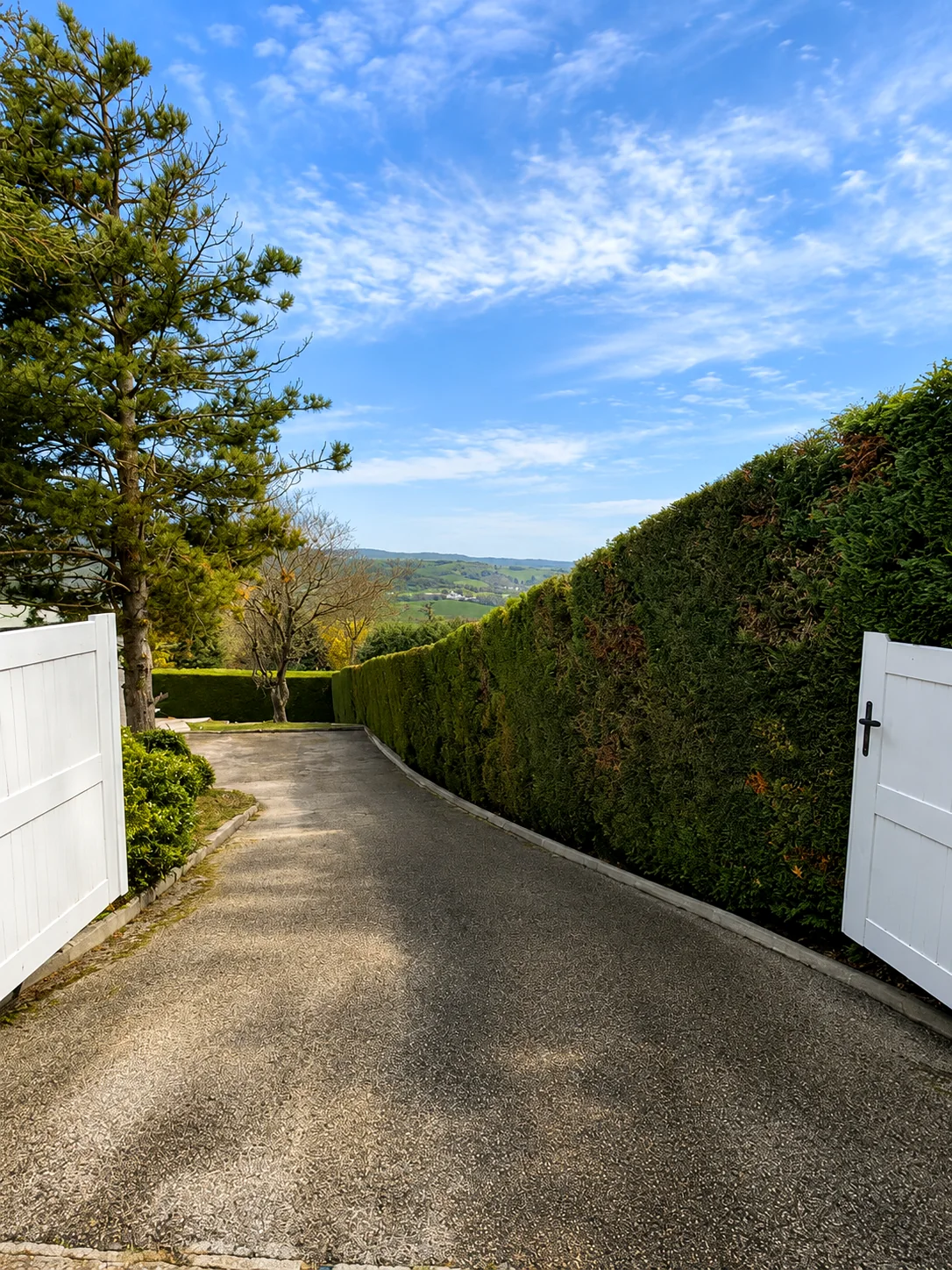 Allée propre avec accès de maison et haies latérales