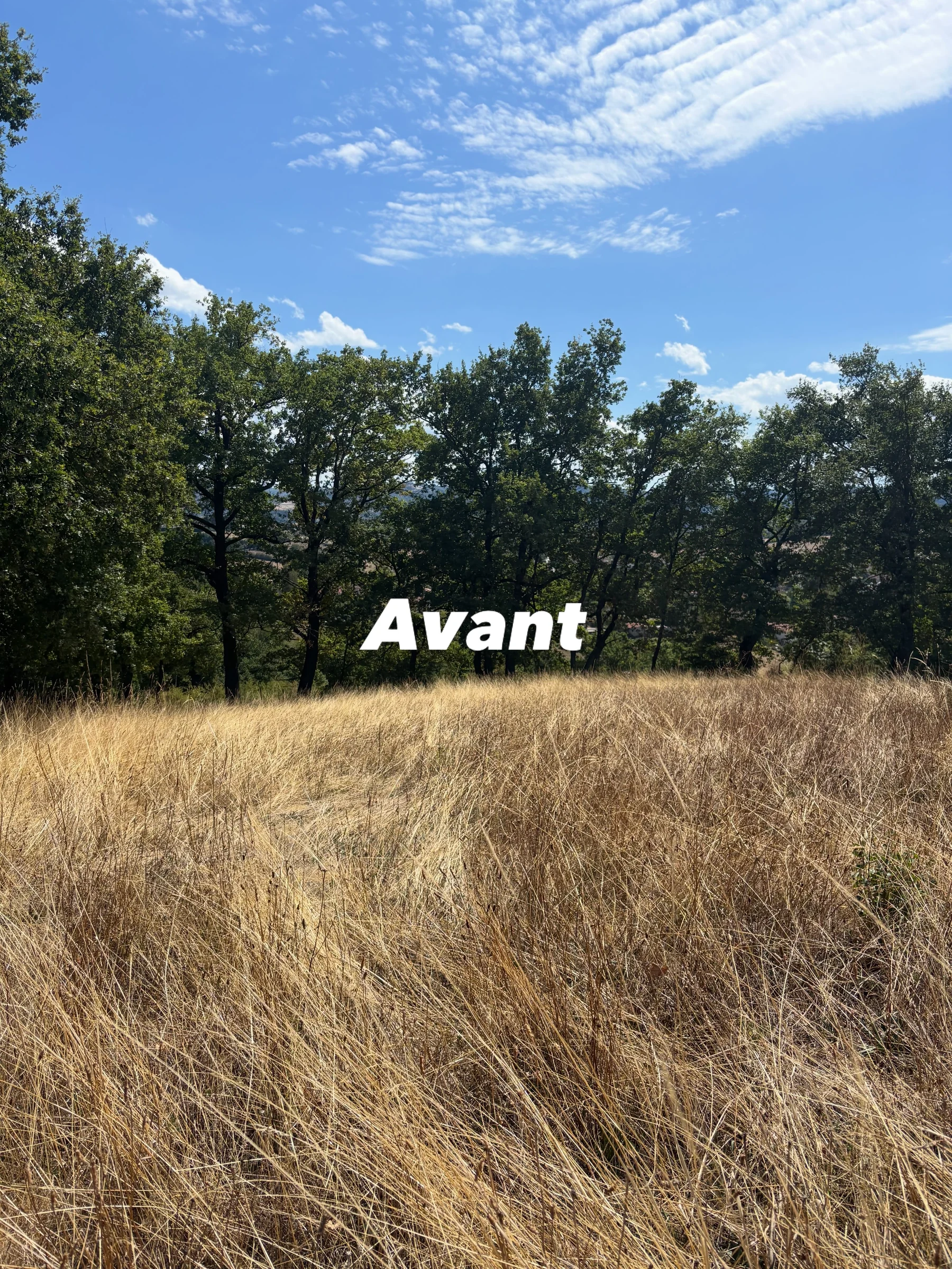 Terrain avant une intervention d'entretien