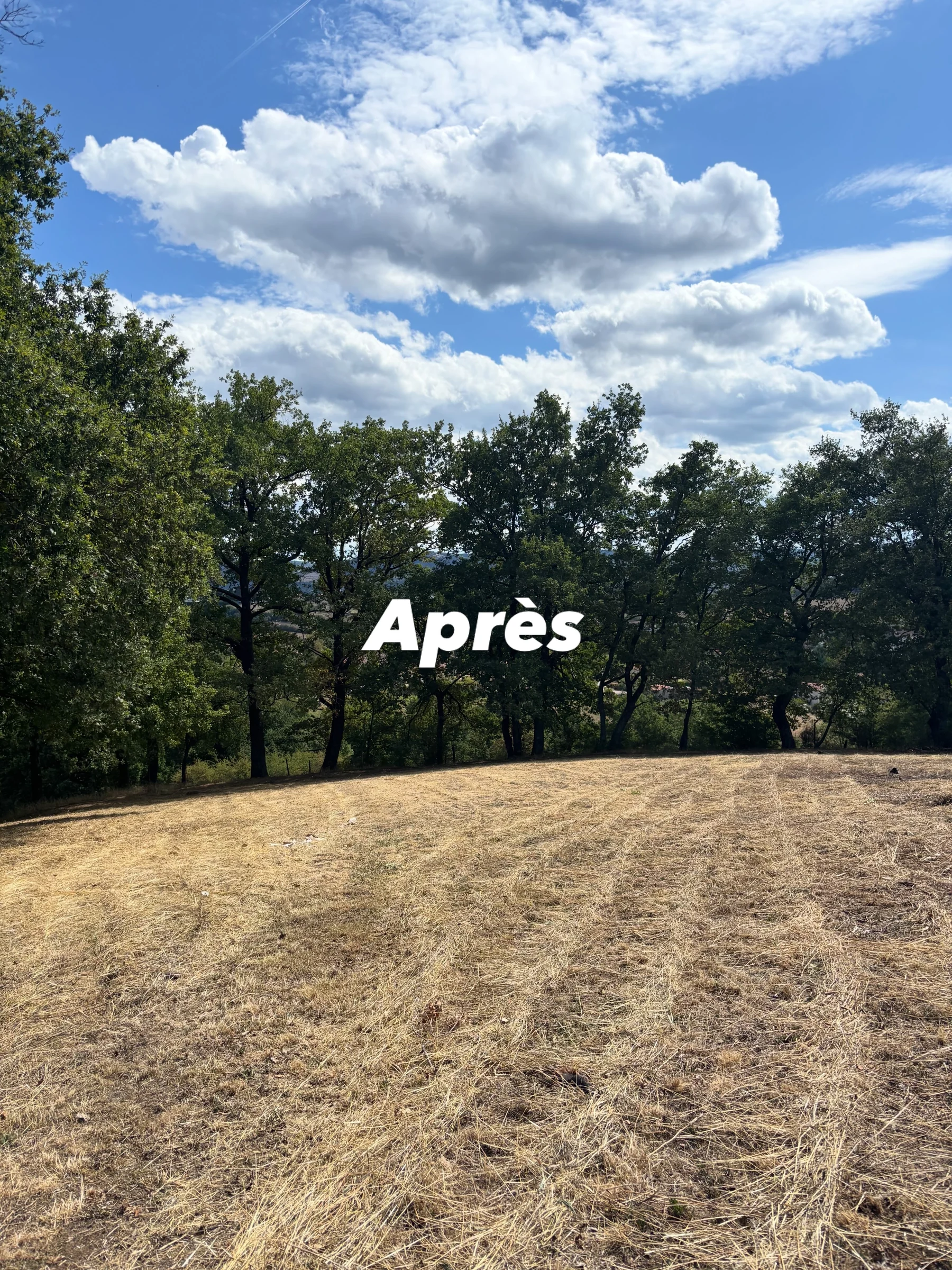Terrain après une intervention d'entretien