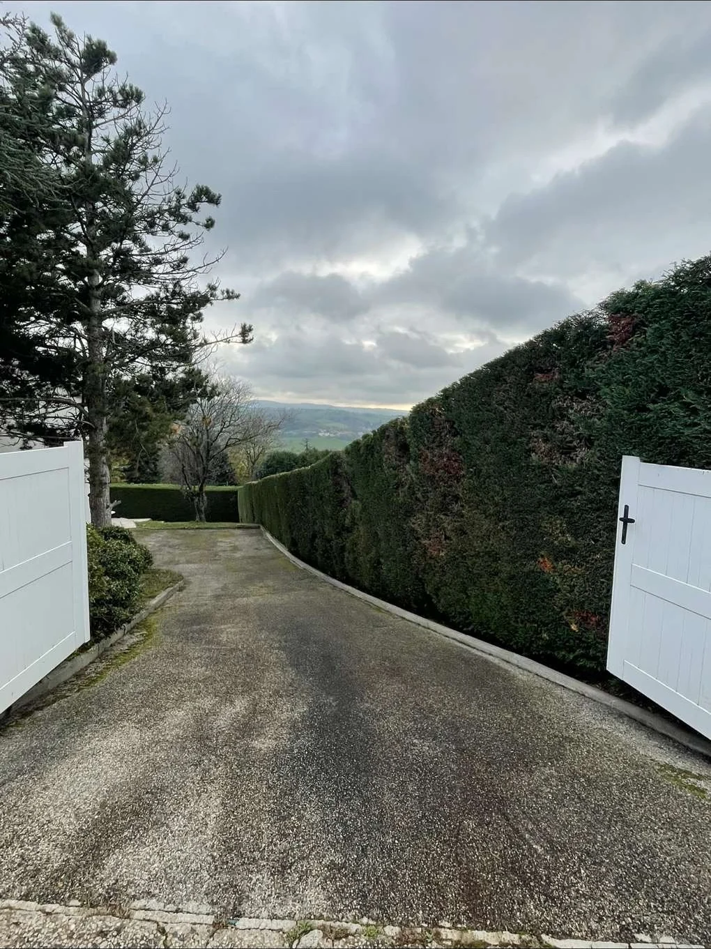 Taille de haie et entretien des abords d'une maison dans la Loire