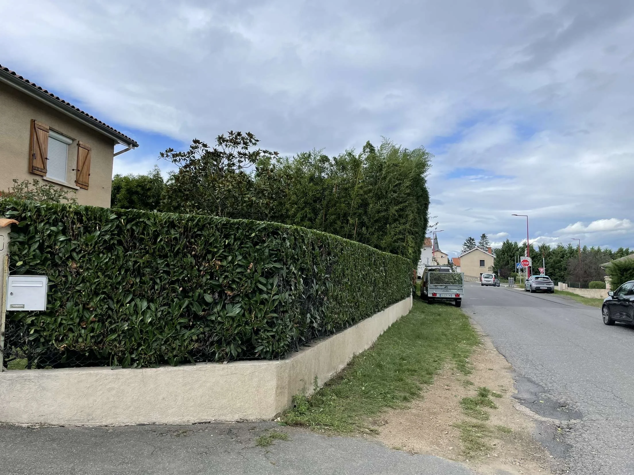 Haie taillée en bordure de rue par un paysagiste dans la Loire
