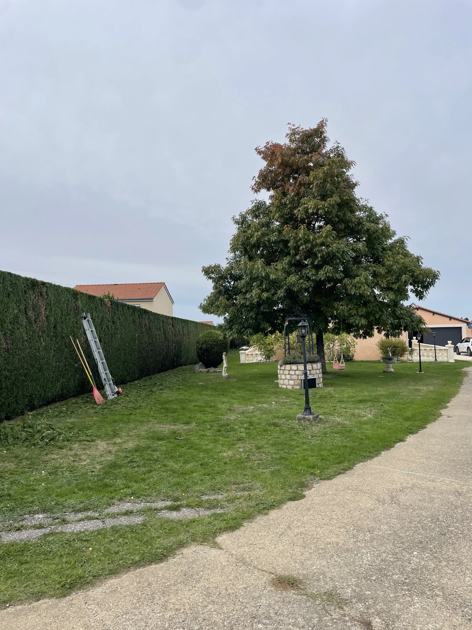 Jardin arboré et haie entretenue chez un client