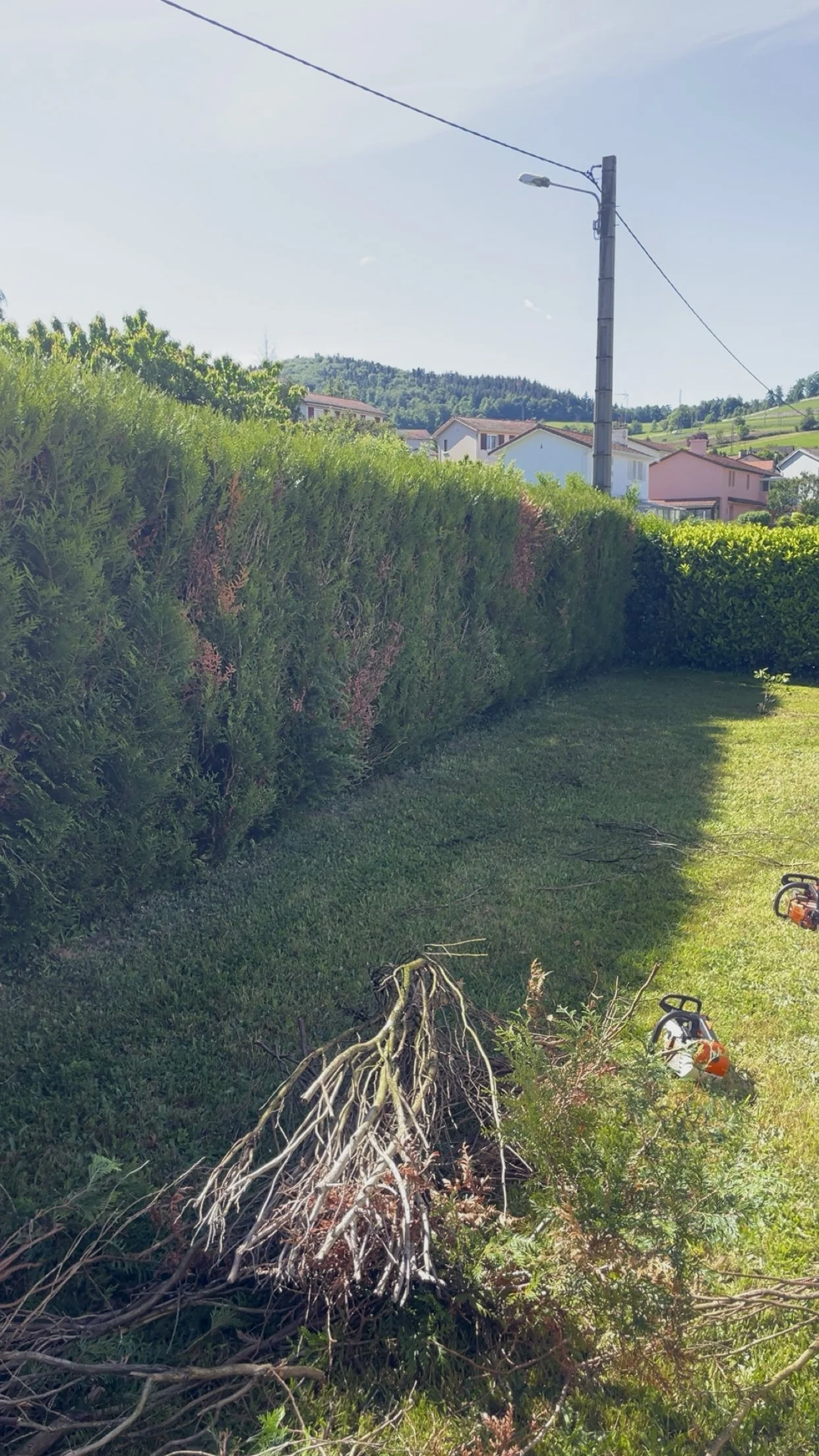 Haie taillée autour d'un jardin résidentiel