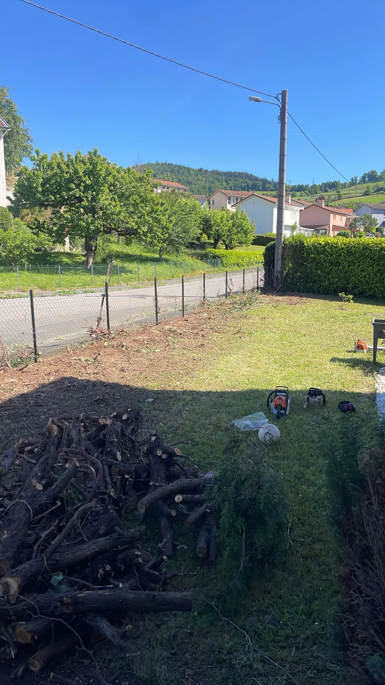 Dégagement et entretien d'une haie dans un jardin