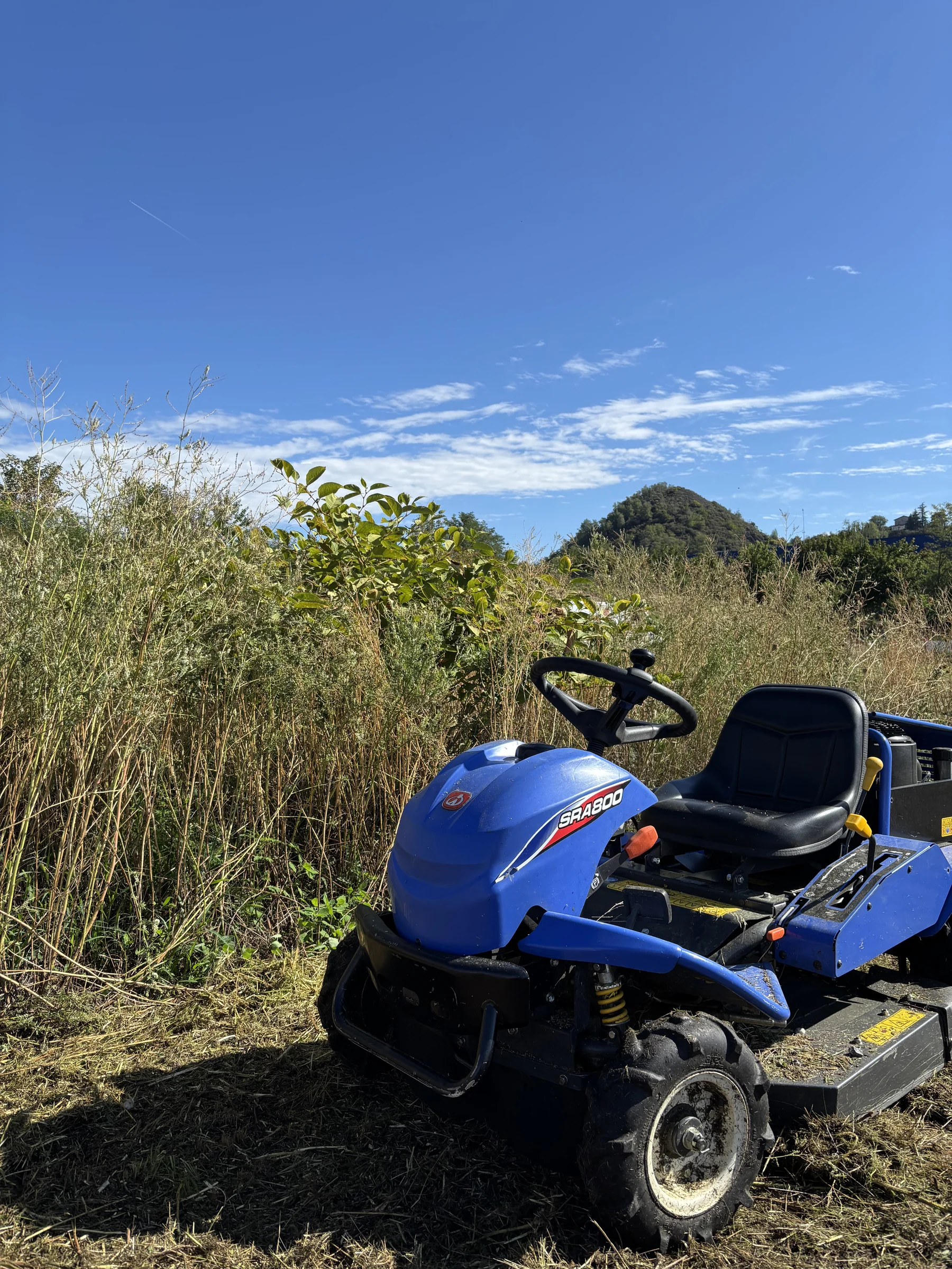 Tonte et entretien d'un terrain extérieur